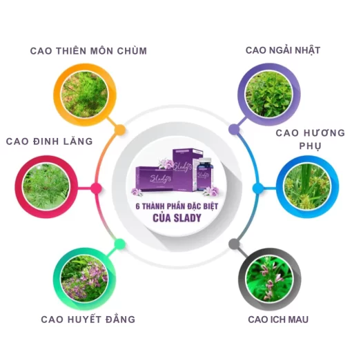 Slady Herbal Supplement for Women – Improve Female Hormonal Health & Balance - Image 4